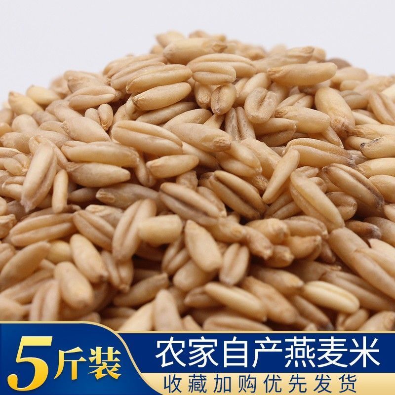 东北农家新货燕麦米新米胚芽裸燕麦东北胚芽米粗粮燕麦粥五谷