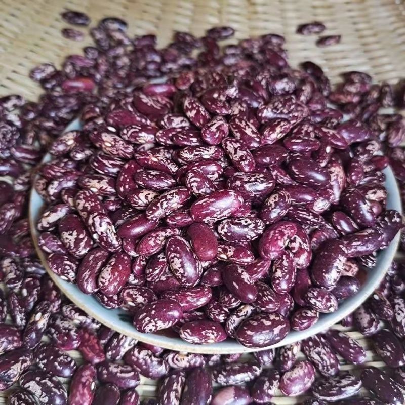 今年新豆云南饭豆大红芸豆新鲜四季豆五谷杂粮豆花芸豆米腰豆