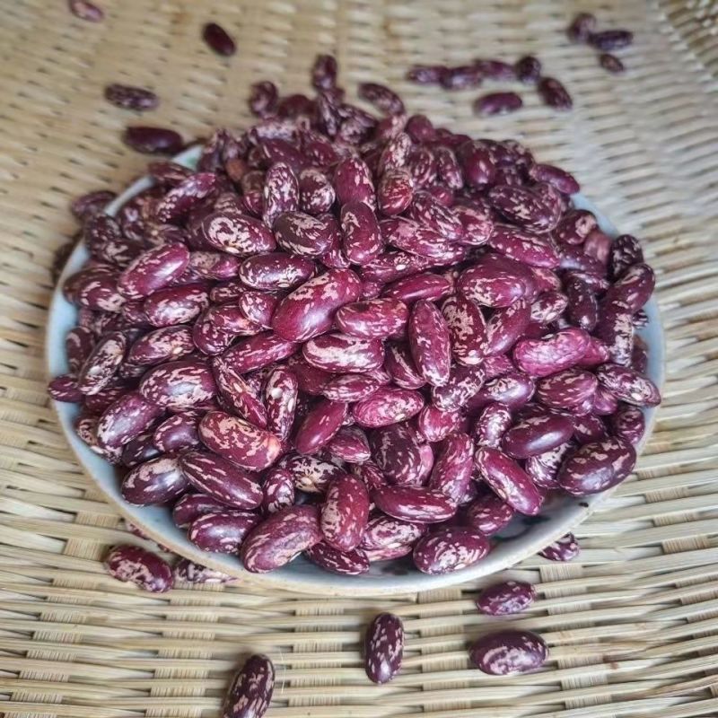 今年新豆云南饭豆大红芸豆新鲜四季豆五谷杂粮豆花芸豆米腰豆