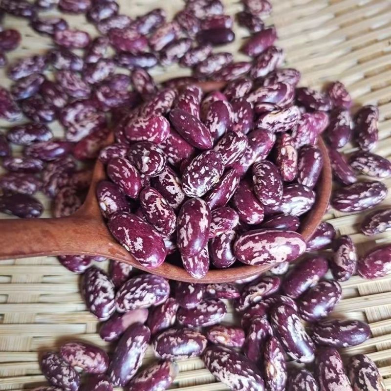 今年新豆云南饭豆大红芸豆新鲜四季豆五谷杂粮豆花芸豆米腰豆