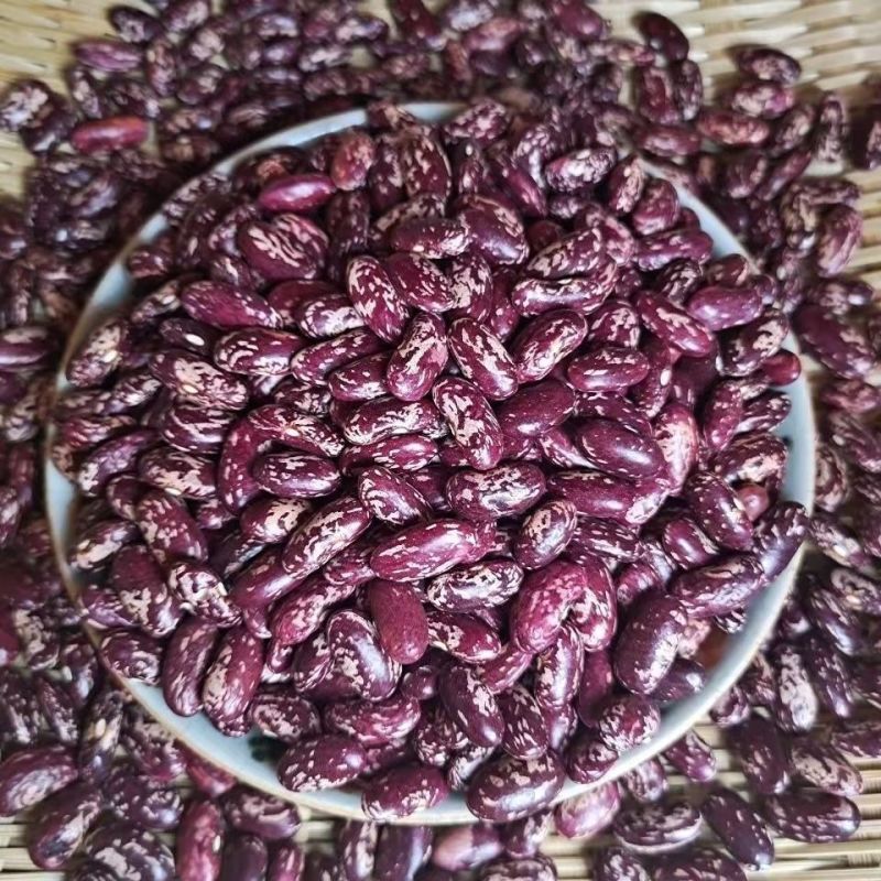 今年新豆云南饭豆大红芸豆新鲜四季豆五谷杂粮豆花芸豆米腰豆
