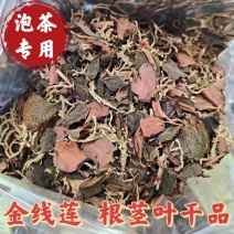 金线莲福建南靖根茎叶散碎干货无杂质金线莲天然泡