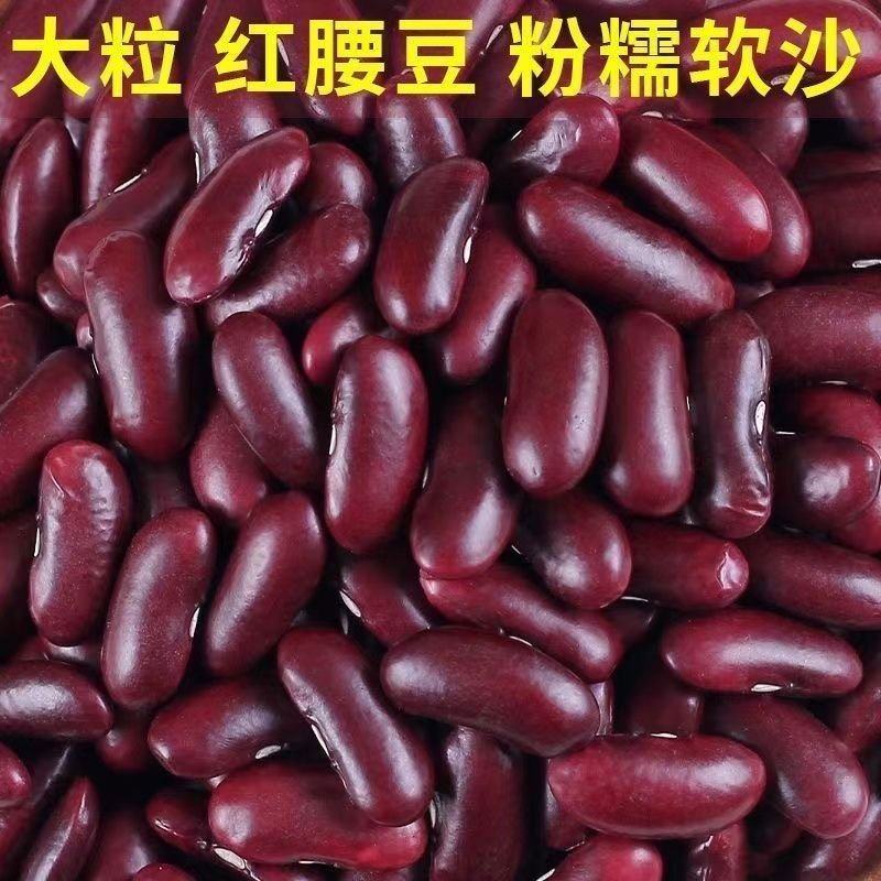 云南红腰商用大粒新货酸菜豆沙红豆批发新豆豆类五谷杂粮农家