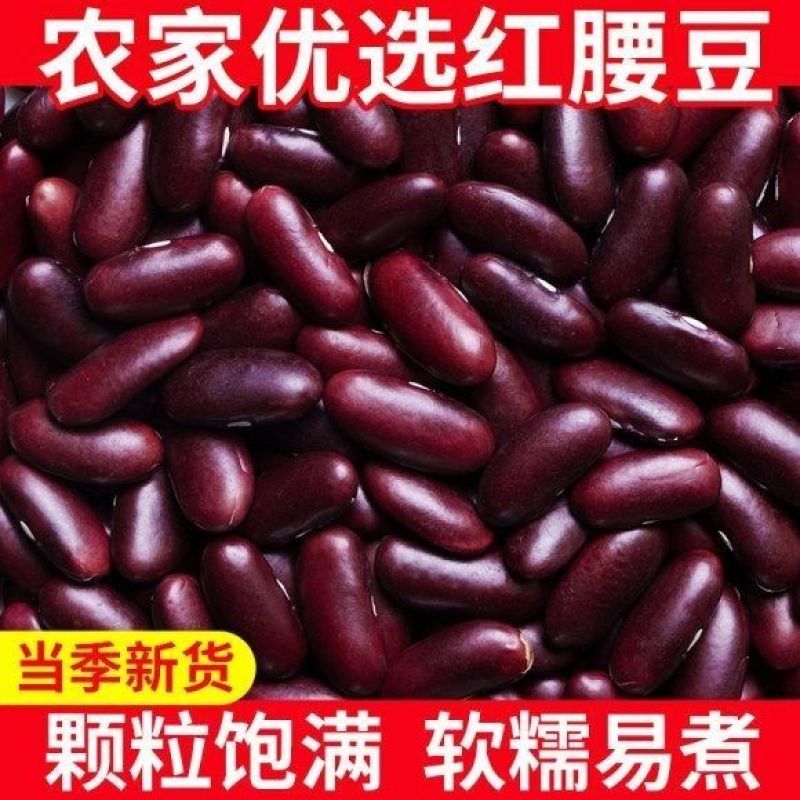 云南红腰商用大粒新货酸菜豆沙红豆批发新豆豆类五谷杂粮农家