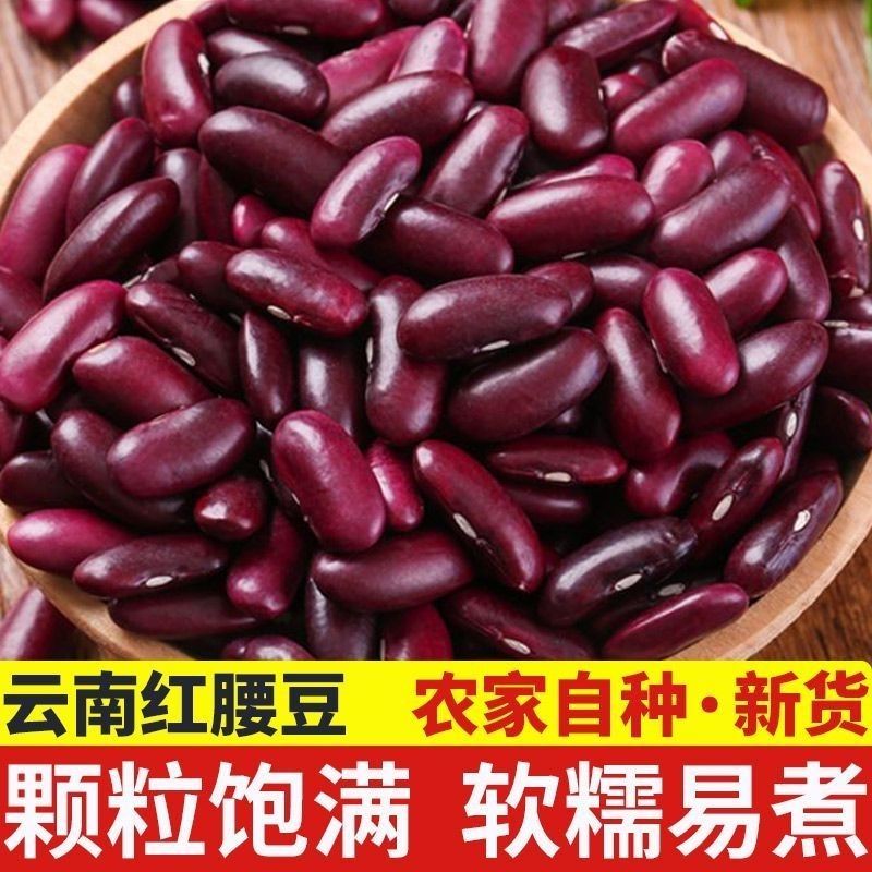 云南红腰商用大粒新货酸菜豆沙红豆批发新豆豆类五谷杂粮农家