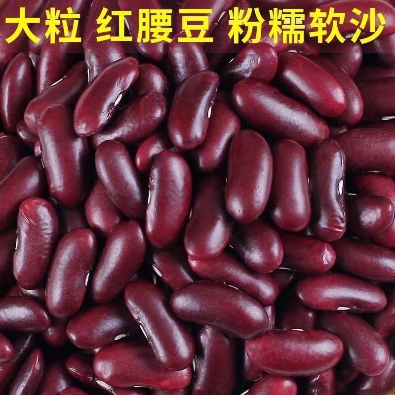 云南红腰商用大粒新货酸菜豆沙红豆批发新豆豆类五谷杂粮农家
