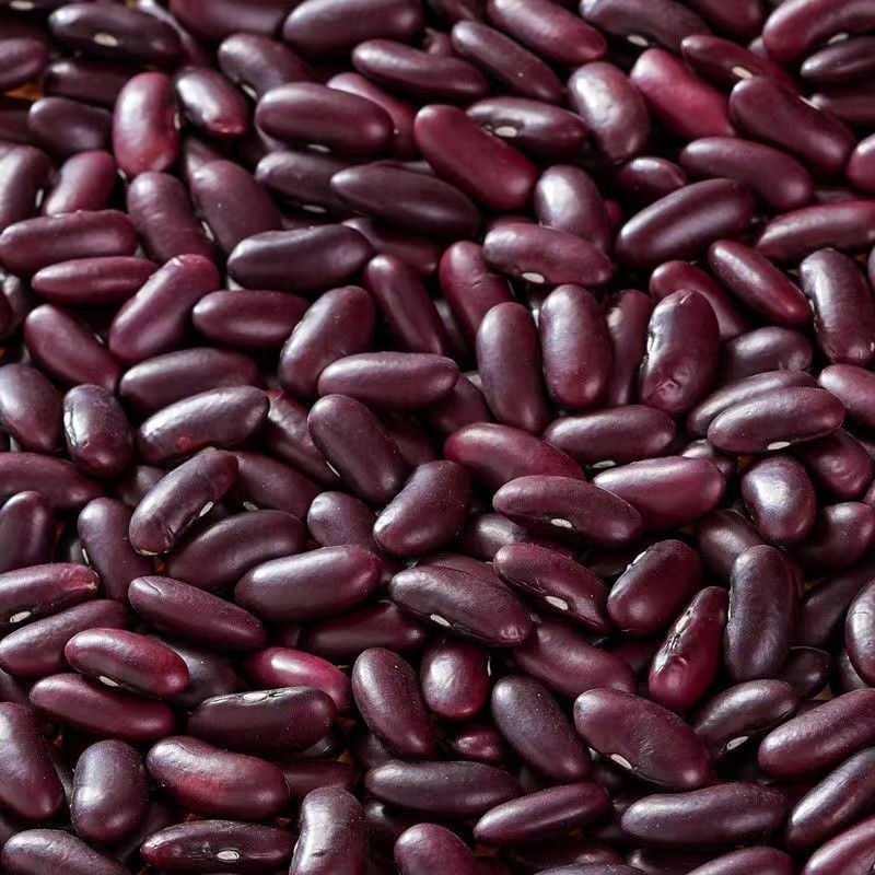 云南红腰商用大粒新货酸菜豆沙红豆批发新豆豆类五谷杂粮农家