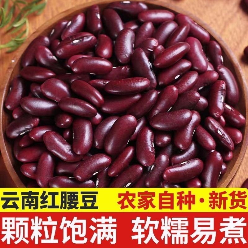 云南红腰商用大粒新货酸菜豆沙红豆批发新豆豆类五谷杂粮农家