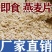 纯燕麦片无蔗糖即食营养代餐正宗纯燕麦片