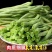 山东莘县圆芸豆源头直供当天采摘整车批发