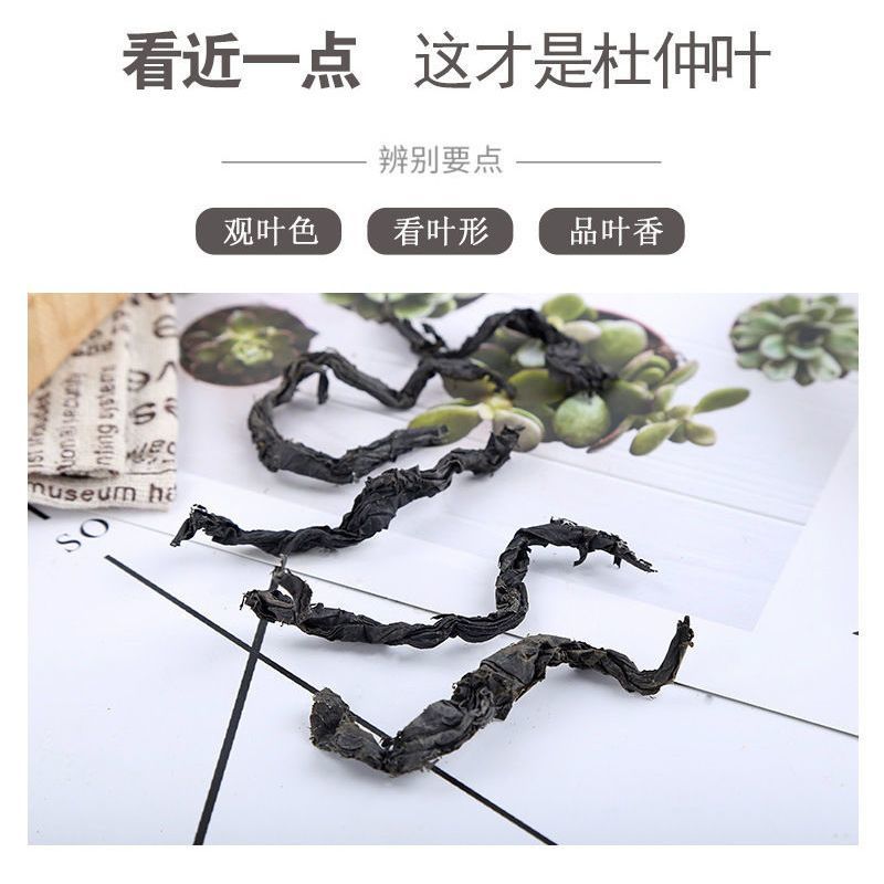 杜仲叶子茶张家界野生杜仲叶茶***嫩叶嫩芽杜仲茶叶