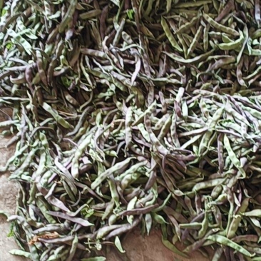 油豆