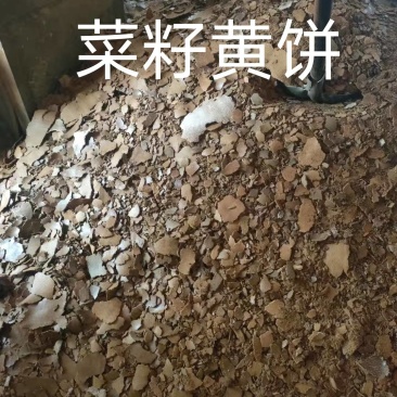菜籽黄饼蛋白35%以上，脂肪6%，无土无沙小作坊新