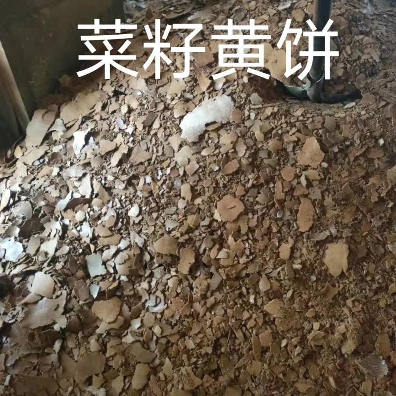 菜籽黄饼蛋白35%以上，脂肪6%，无土无沙小作坊新