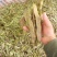 精品油豆
