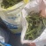 精品油豆