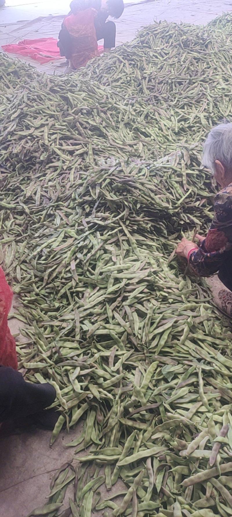 精品油豆
