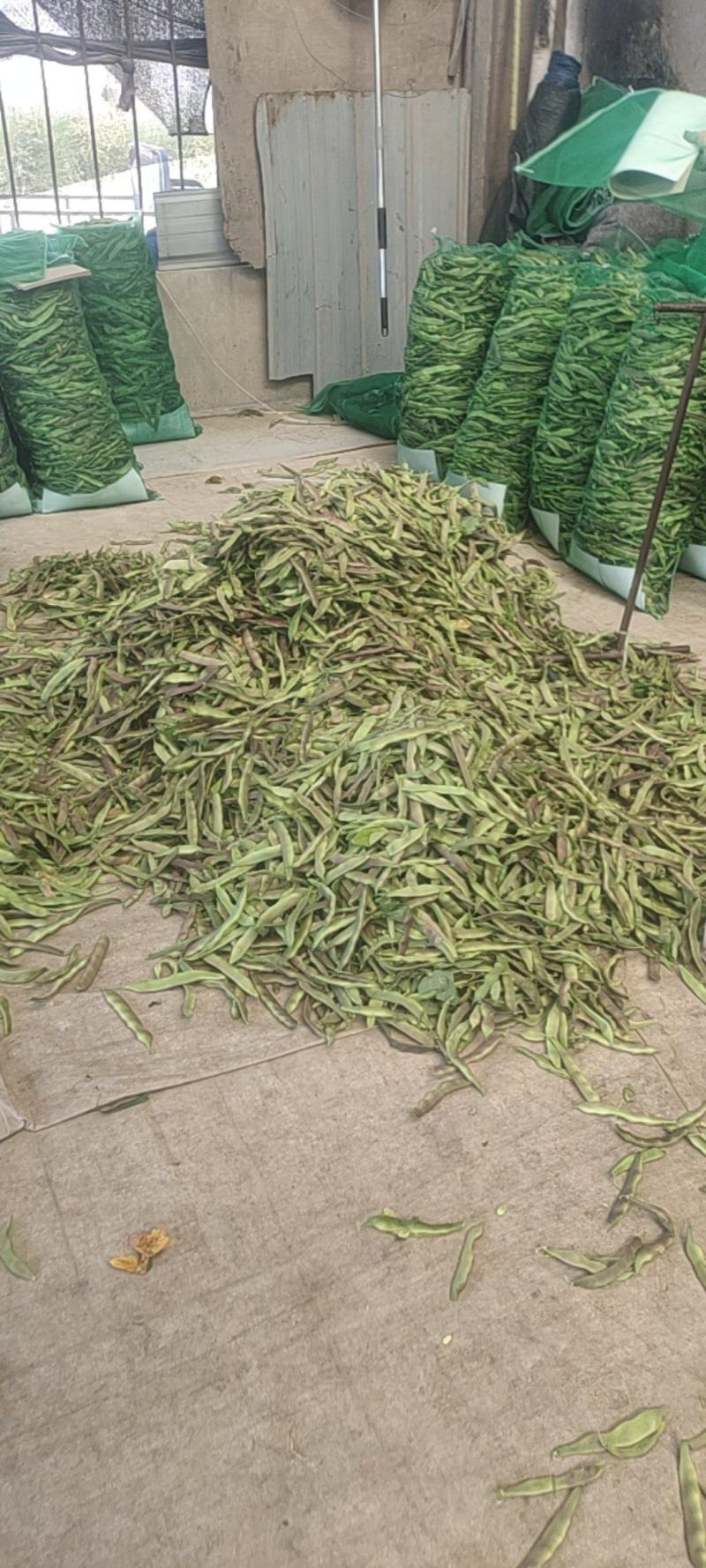 精品油豆