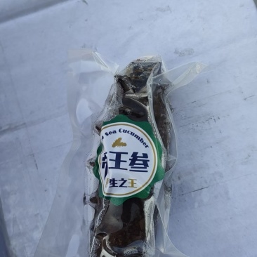 海参