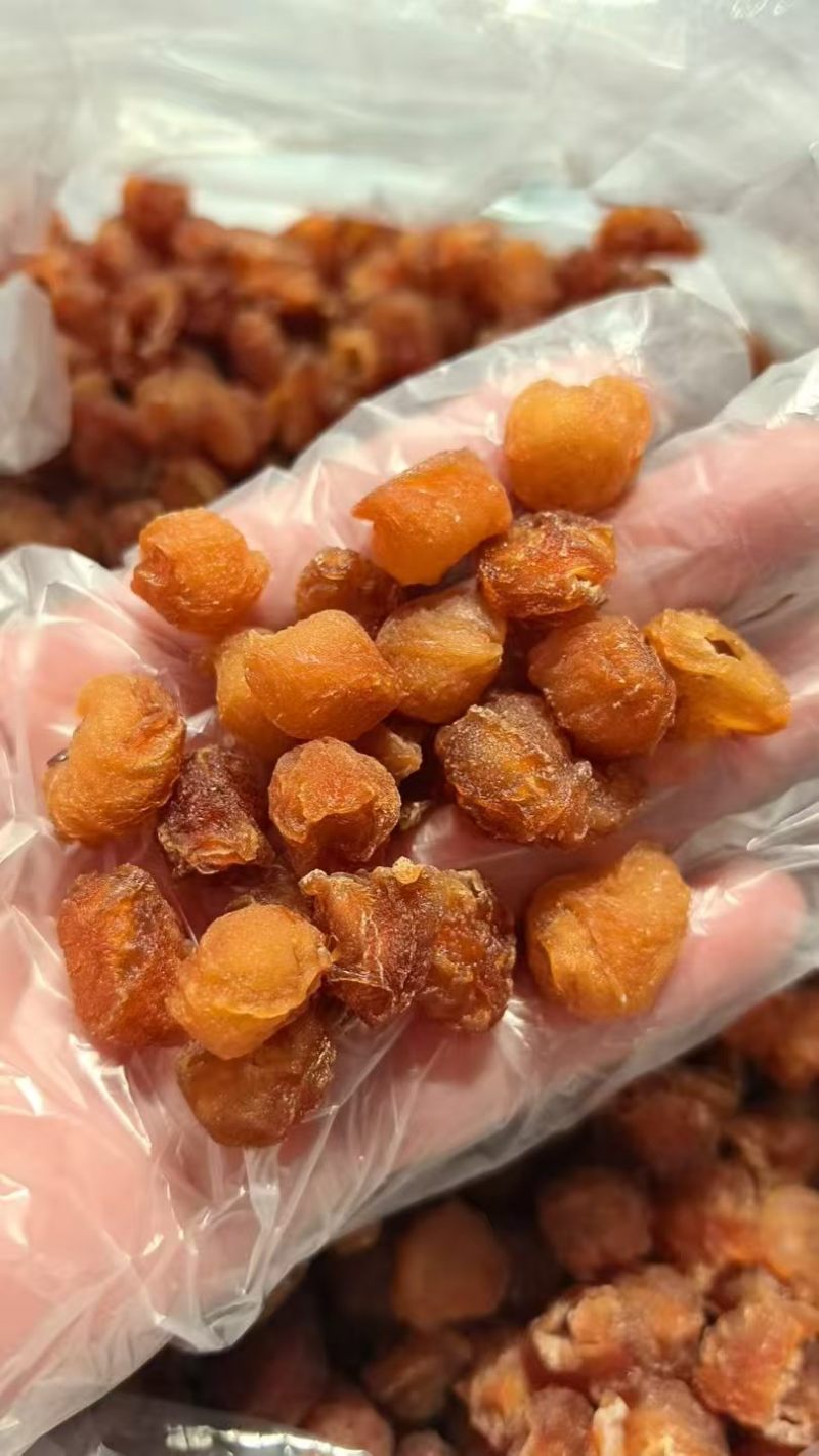 广西无硫桂圆肉批发无核足干无糖龙眼肉干货