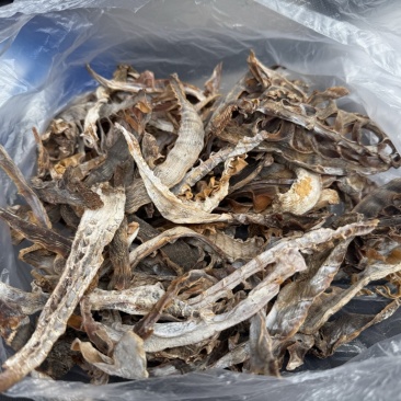 浙江温州泰顺高山农户笋干