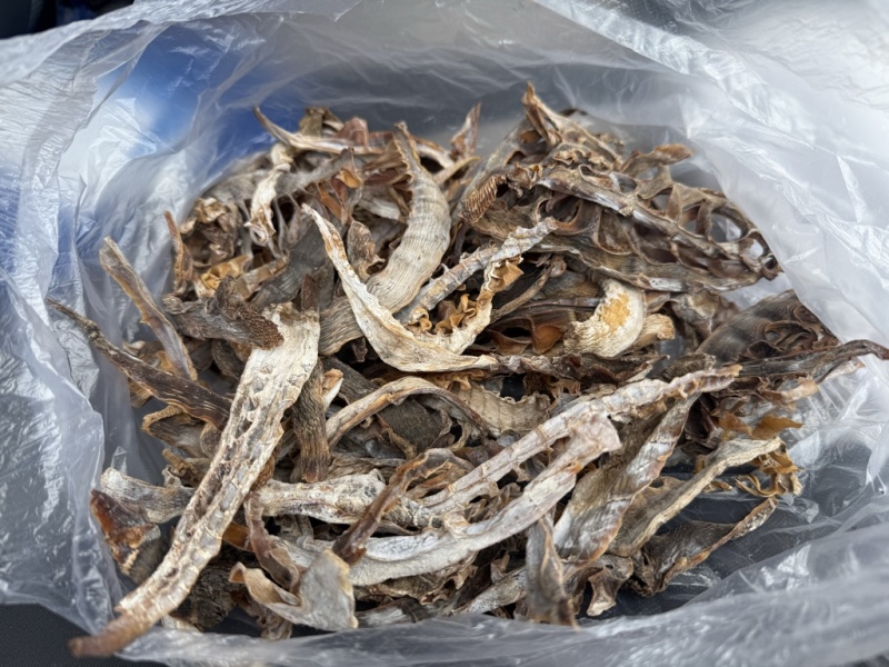 浙江温州泰顺高山农户笋干