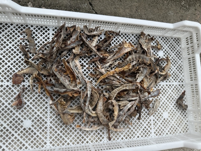 浙江温州泰顺高山农户笋干