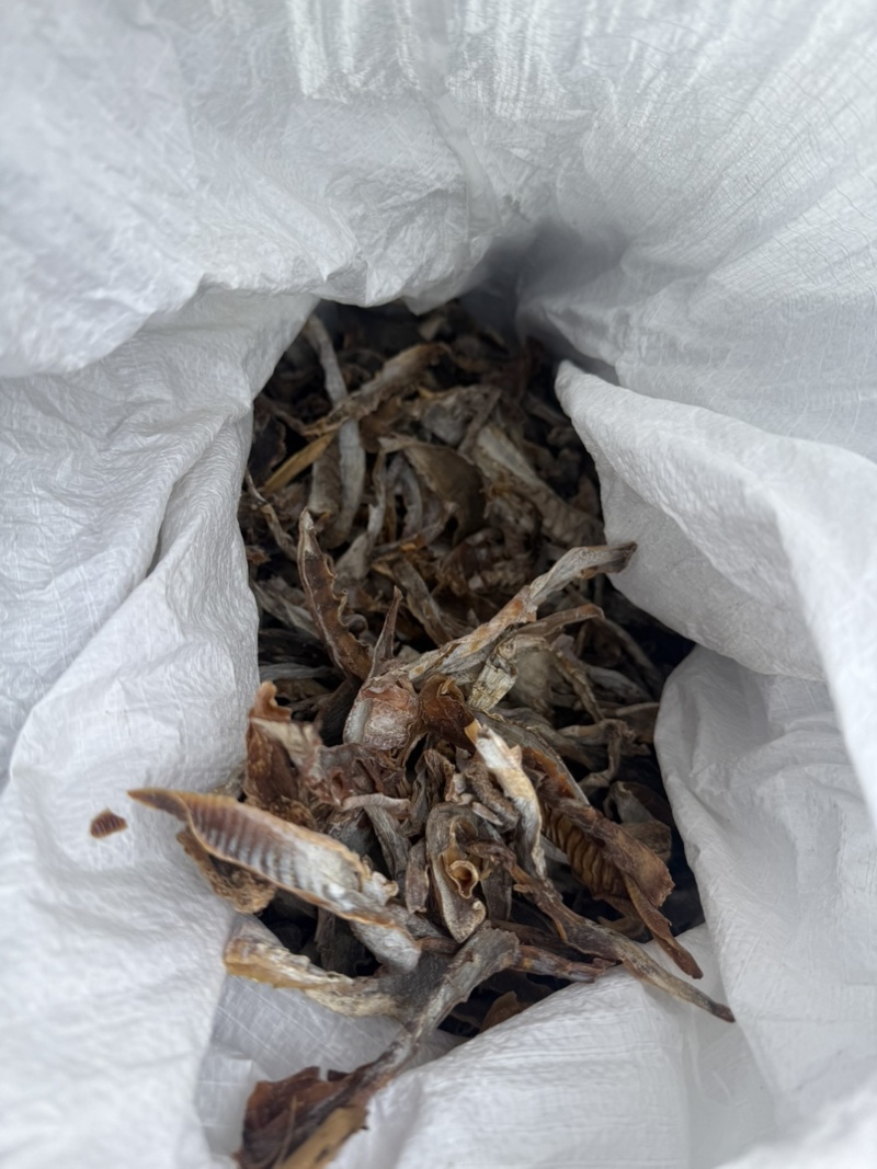 浙江温州泰顺高山农户笋干