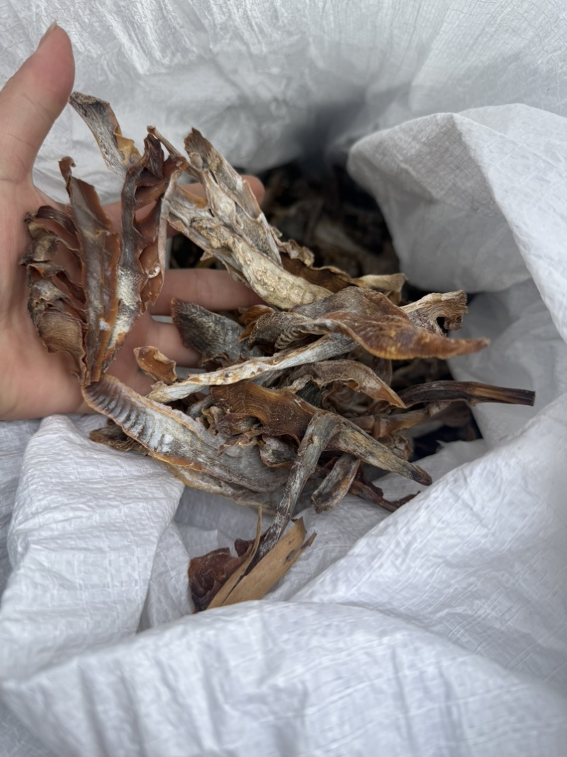 浙江温州泰顺高山农户笋干