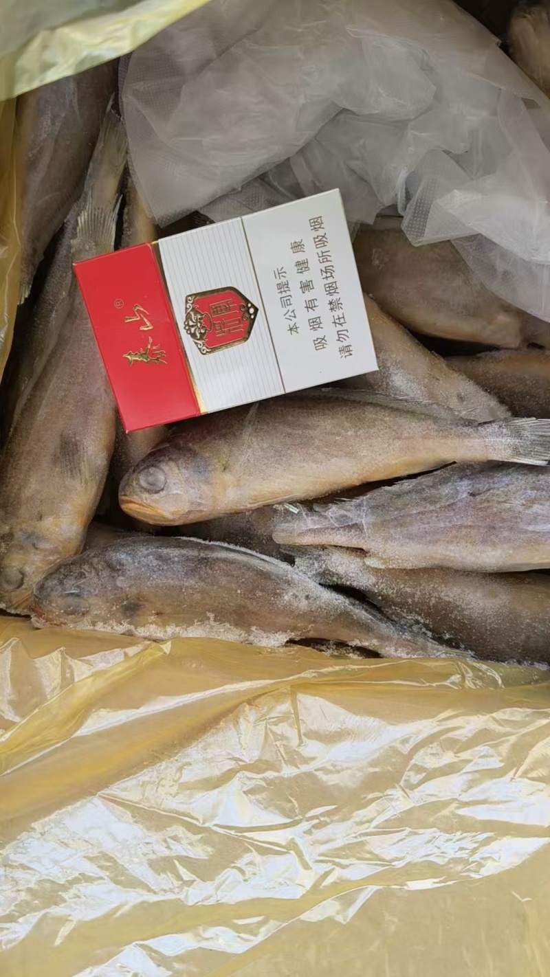 精品黄花鱼
