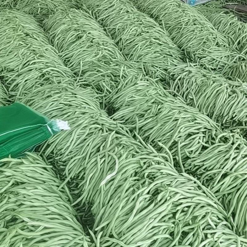 山东聊城本地种植无丝豆大量现货上市