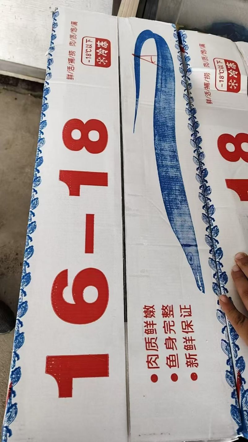 舟山带鱼