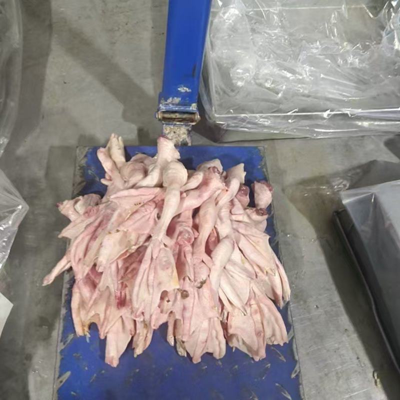 老鸭掌