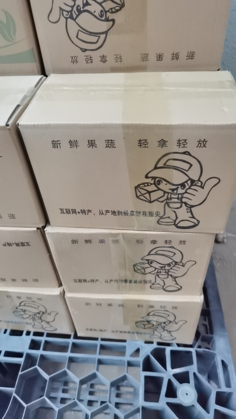 河南中牟大蒜产地货源充足规格齐全专注一件代发新老蒜