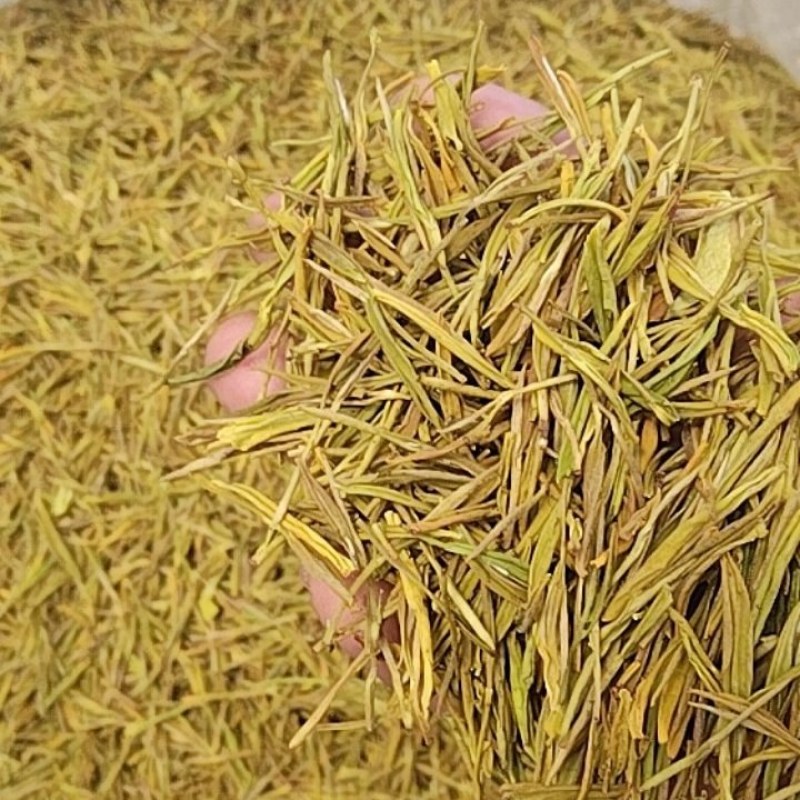 黄金芽