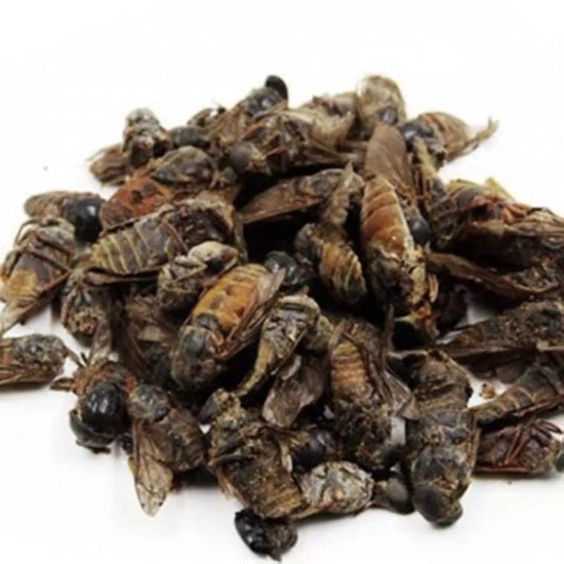牛虻虫新货正品保证没有蜜蜂，百分百正品批发零售