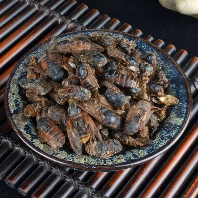 牛虻虫新货正品保证没有蜜蜂，百分百正品批发零售