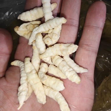 精品，地蚕，草石蚕，白虫草