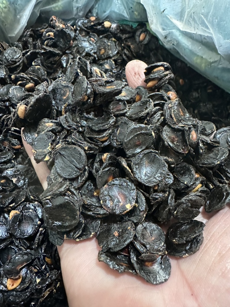 野生纯植物腊肠果便秘果大解果果肉精选无霉变