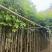 秋枫大量低价清场出售