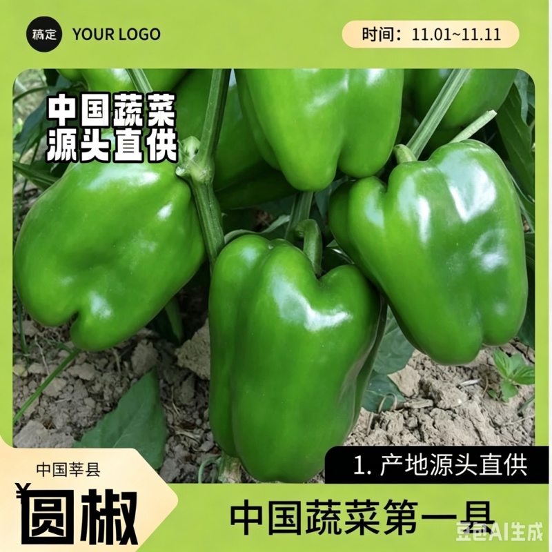山东莘县圆椒柿子椒源头直供当天采摘