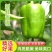 山东莘县圆椒柿子椒源头直供当天采摘