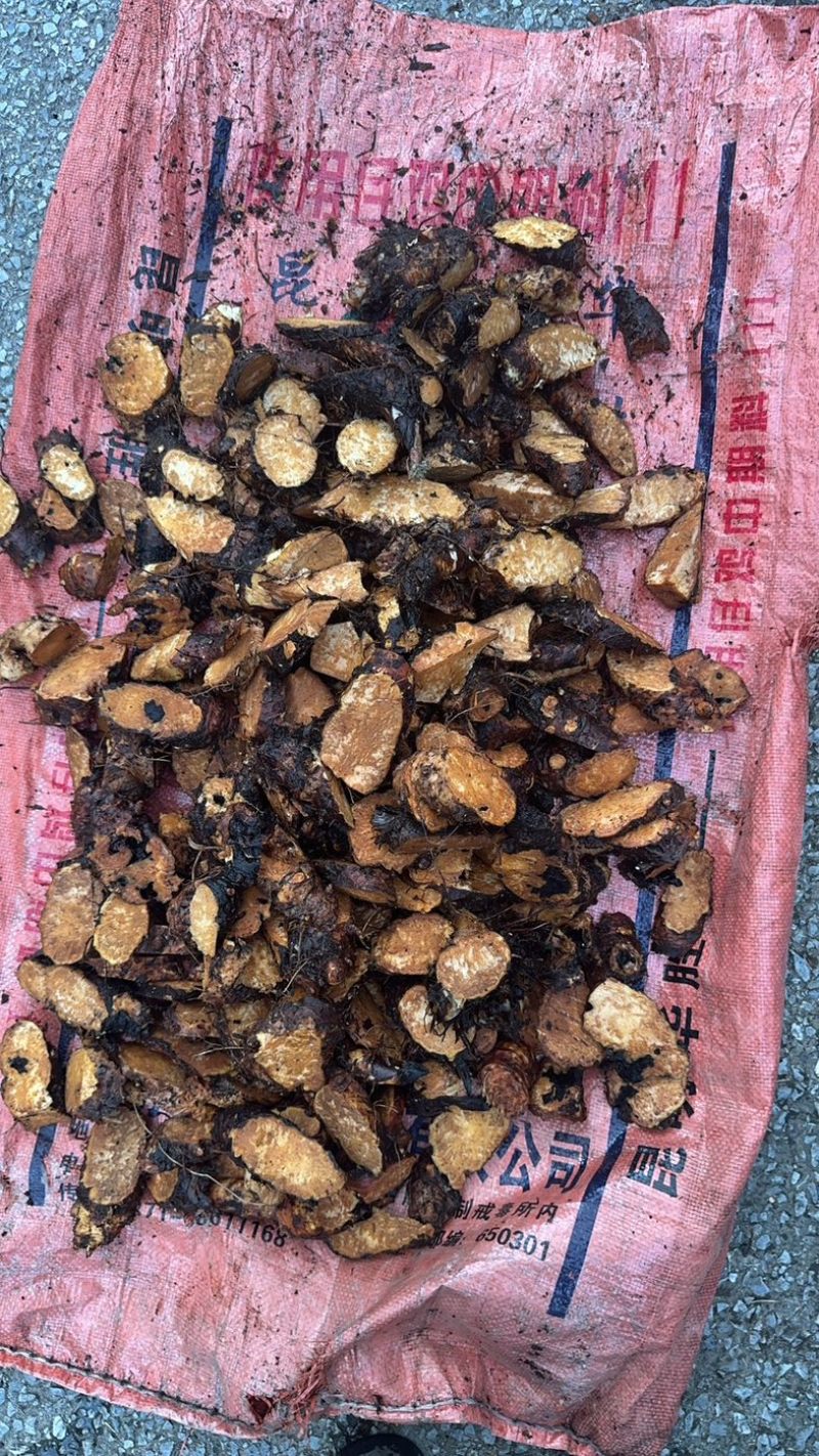 云南怒江岩陀