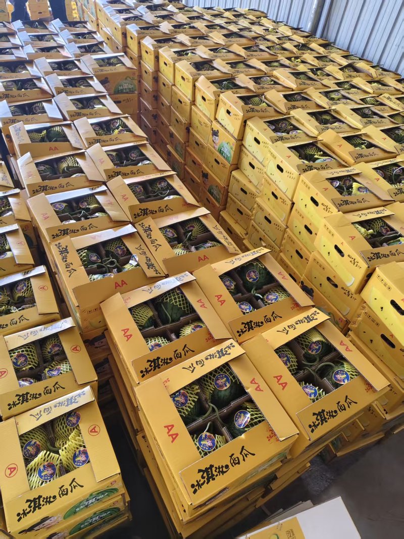 江苏特小凤西瓜产地直发量大从优规格齐全对接市场商超档口