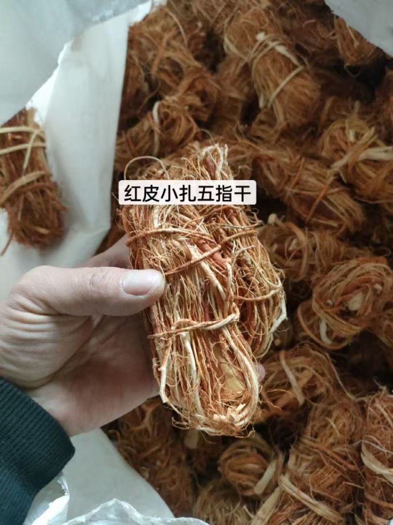 新鲜五指毛桃，长期供应，(珠三角早上发货下午到)
