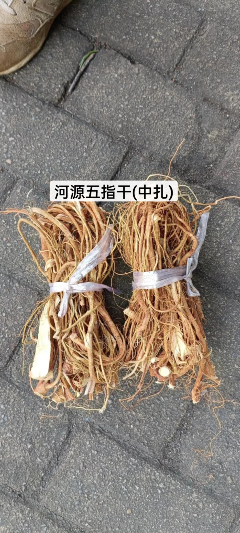 新鲜五指毛桃，长期供应，(珠三角早上发货下午到)