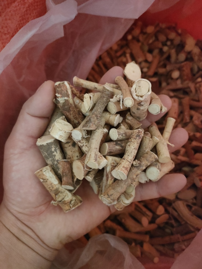 新鲜五指毛桃，长期供应，(珠三角早上发货下午到)