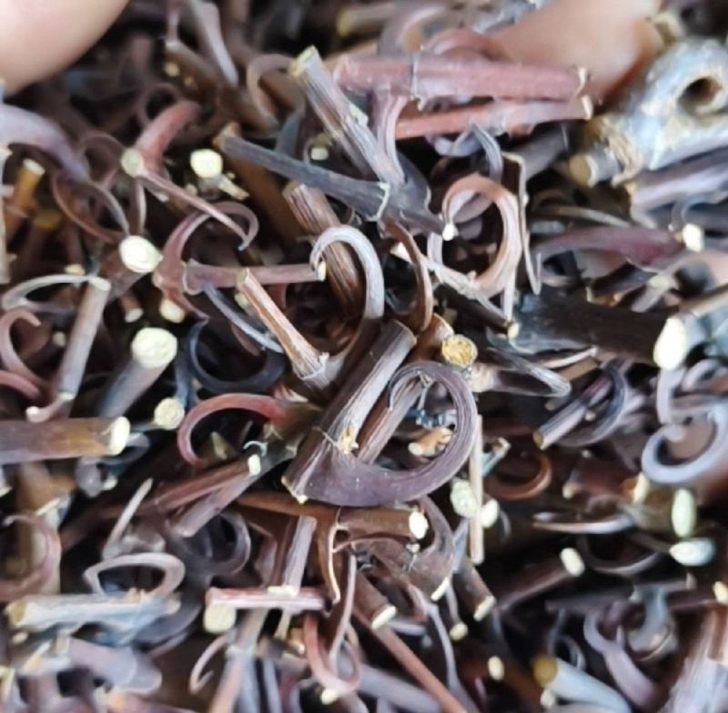 钩藤双钩批发各种规格钩藤质量保证量大从优