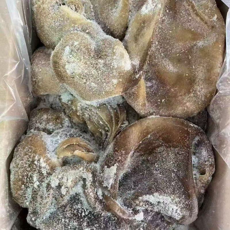 羊毛肚