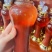梅花鹿纯鹿茸血加酒保鲜正品男用滋补养生鹿茸血酒东北特产鹿